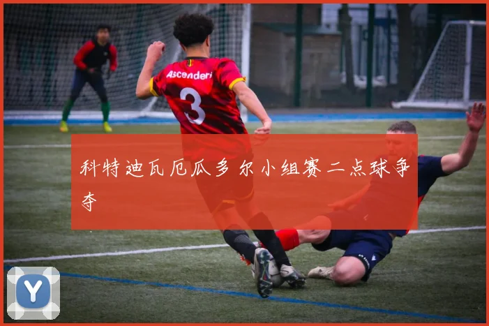 科特迪瓦厄瓜多尔小组赛二点球争夺