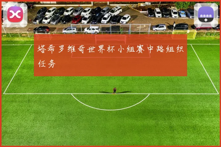 塔希罗维奇世界杯小组赛中路组织任务