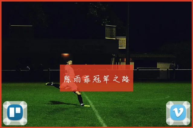 陈雨菲冠军之路