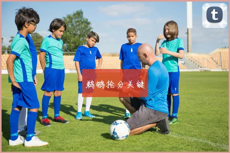 鹈鹕抢分关键