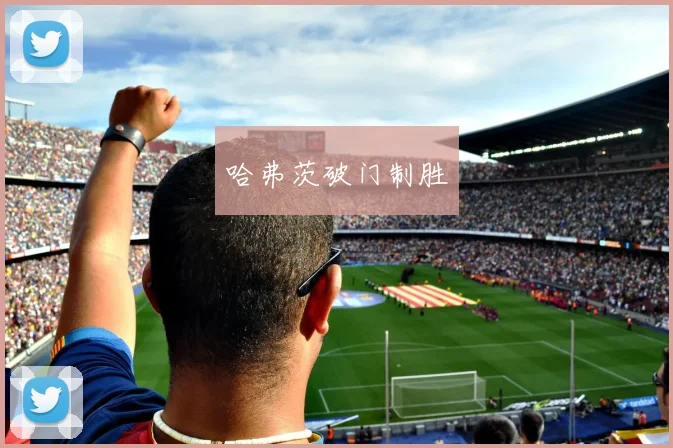 哈弗茨破门制胜