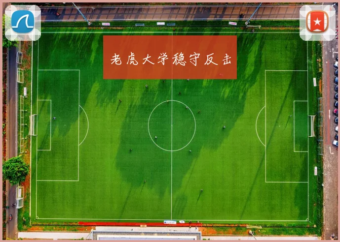 老虎大学稳守反击