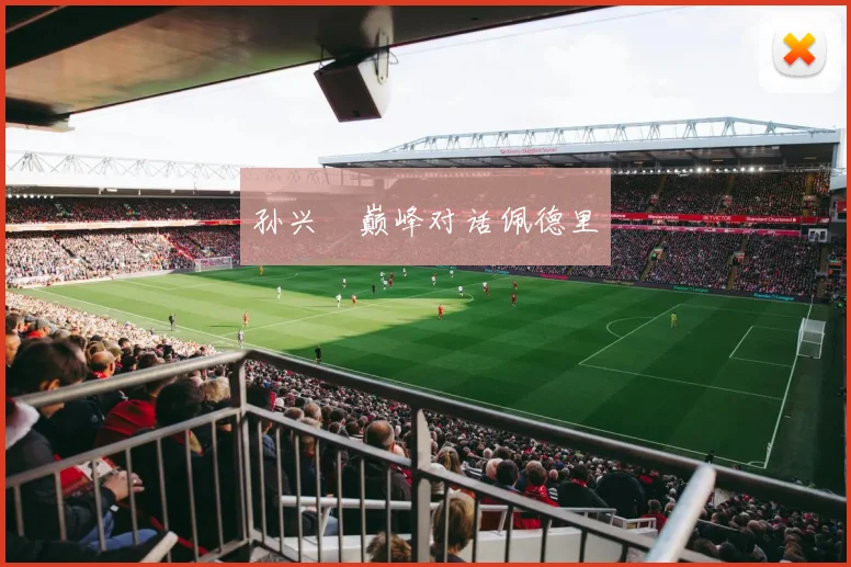 孙兴慜巅峰对话佩德里
