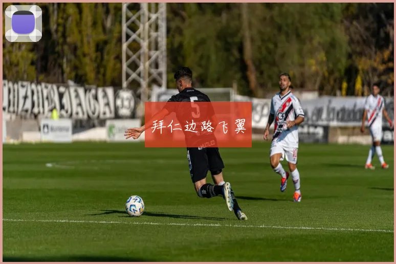 拜仁边路飞翼