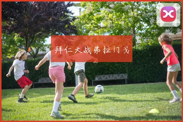 拜仁大战弗拉门戈