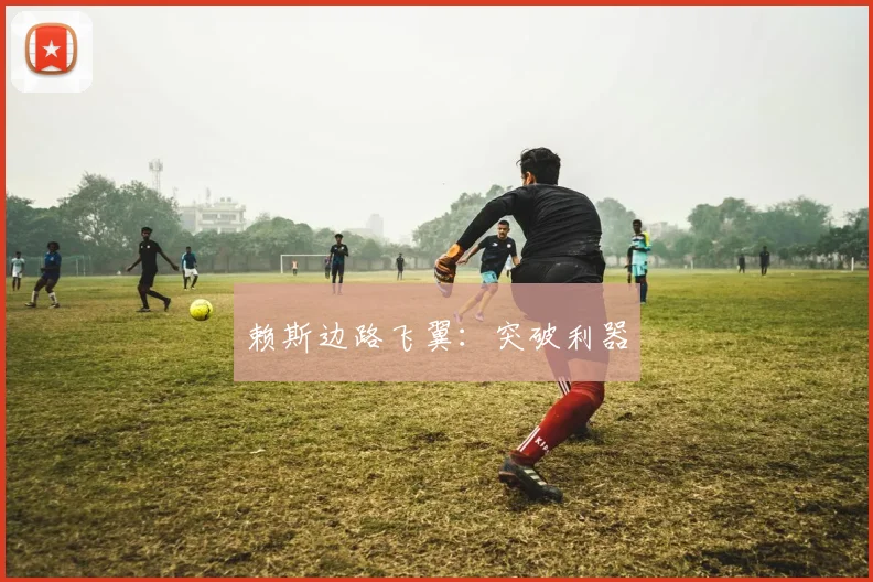 赖斯边路飞翼：突破利器