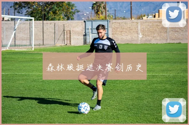 森林狼挺进决赛创历史