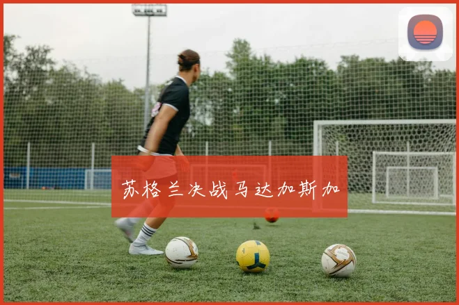苏格兰决战马达加斯加