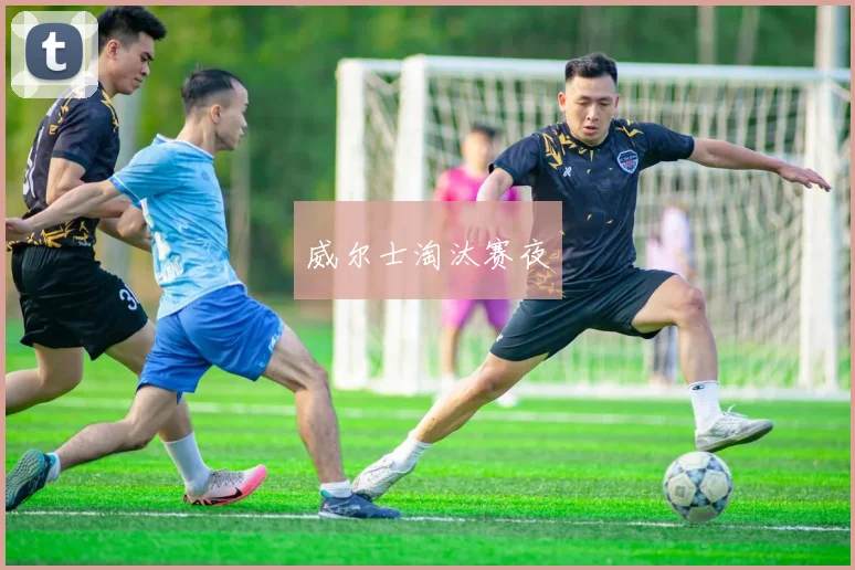 威尔士淘汰赛夜