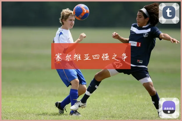 塞尔维亚四强之争