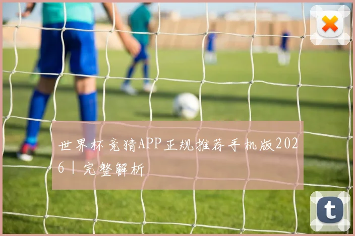 世界杯竞猜APP正规推荐手机版2026｜完整解析