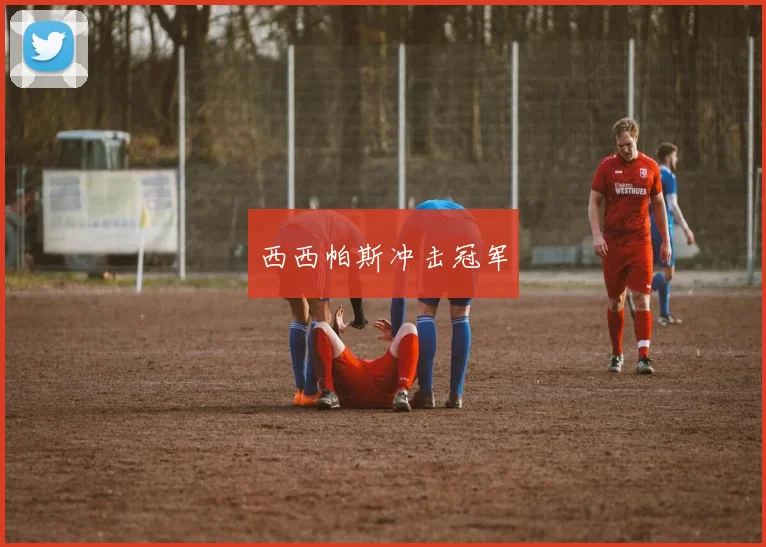 西西帕斯冲击冠军