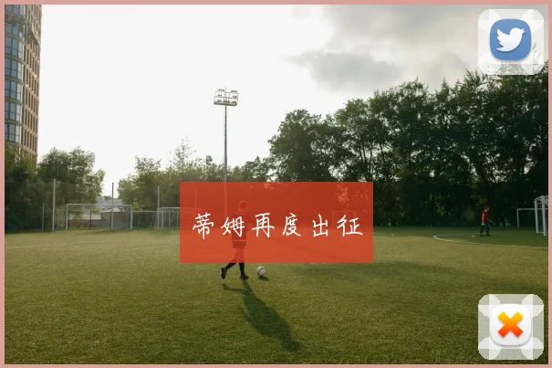 蒂姆再度出征