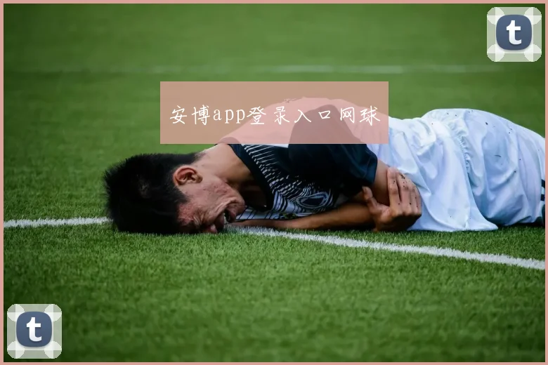 安博app登录入口网球