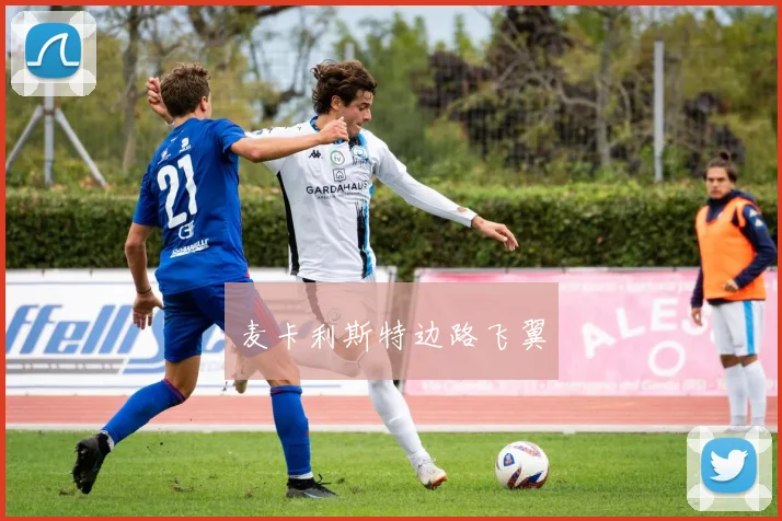 麦卡利斯特边路飞翼