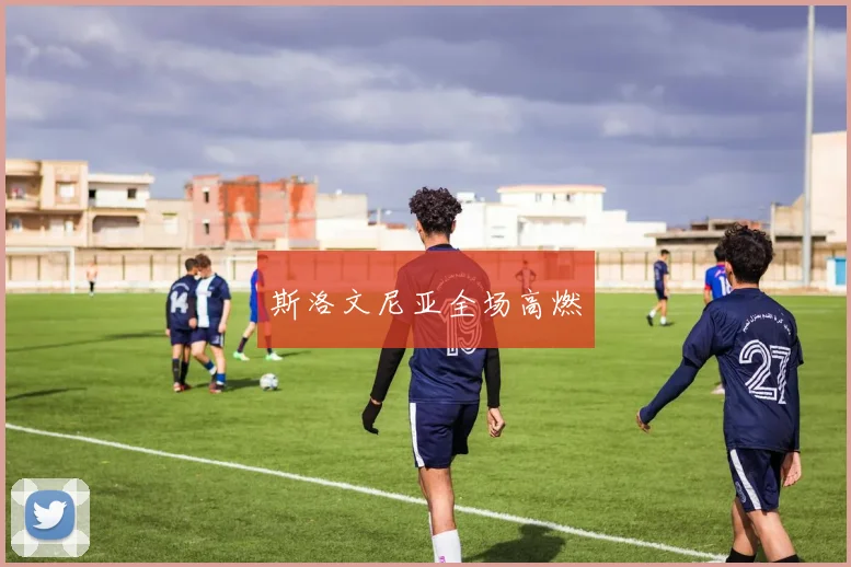 斯洛文尼亚全场高燃