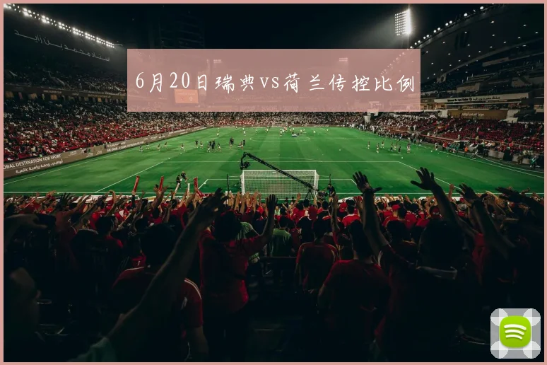 6月20日瑞典vs荷兰传控比例