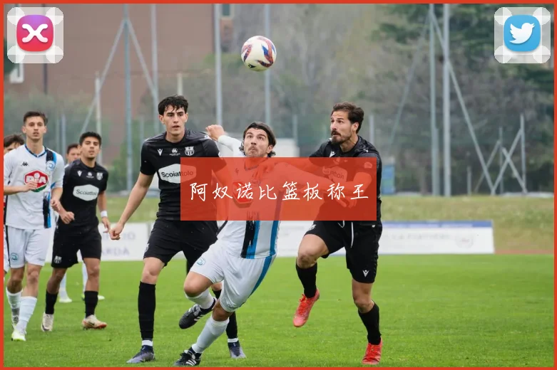 阿奴诺比篮板称王