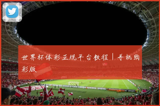 世界杯体彩正规平台教程｜手机购彩版