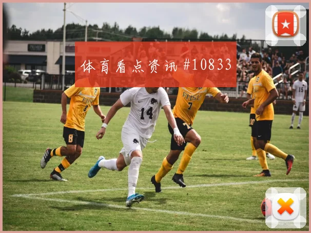 麦卡利斯特代表阿根廷对阵奥地利推进价值预测