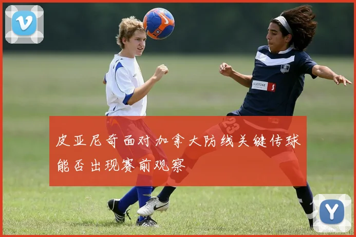 皮亚尼奇面对加拿大防线关键传球能否出现赛前观察