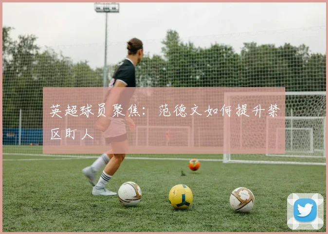 英超球员聚焦：范德文如何提升禁区盯人